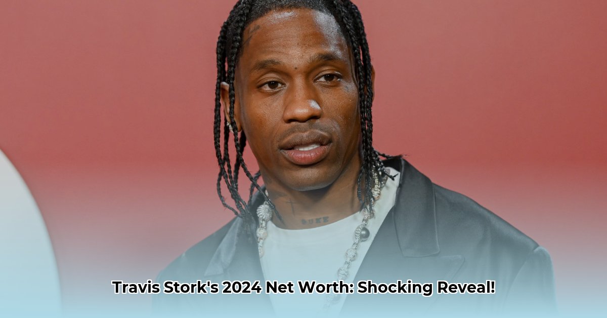 travis stork net worth